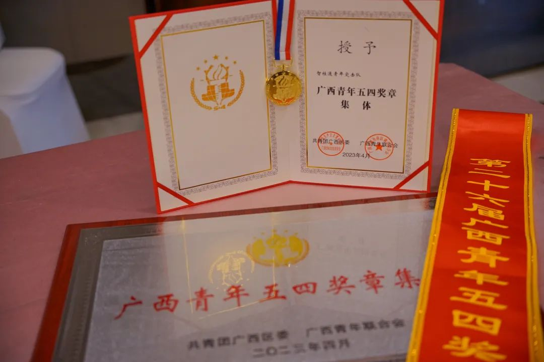 承诺有“数”，青年有为|荣获自治区级表彰，这个青年集体“五力五促”做法你一定要点赞