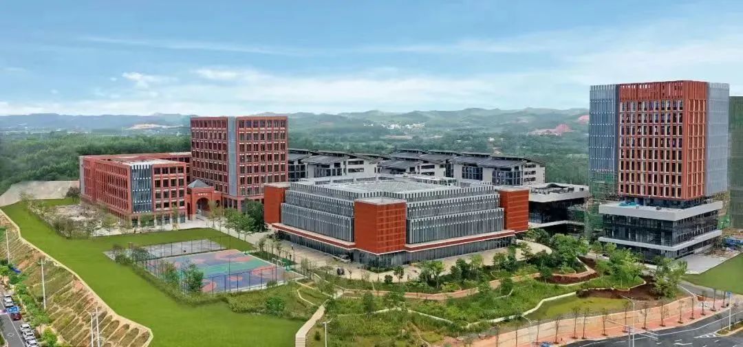 星空体育官网登录平台广西集团星空体育官网登录平台化赋能广西优化营商环境提质效