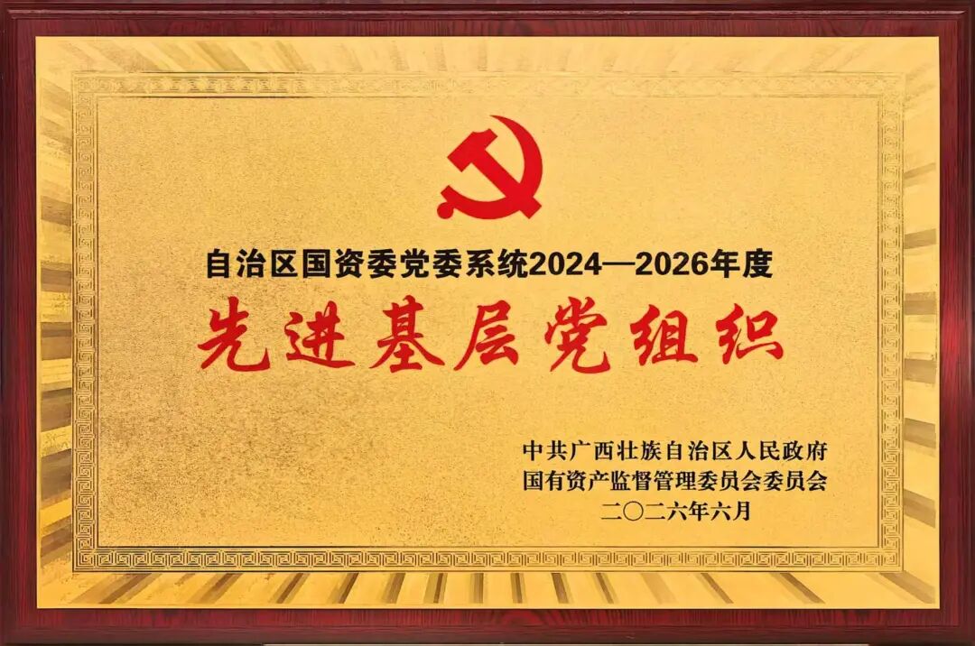转载丨党建引领星空体育官网登录平台强区 先锋领航再创佳绩丨广西数据集团及所属党组织集体、个人荣获自治区国资委党委系统“两优一先”表彰